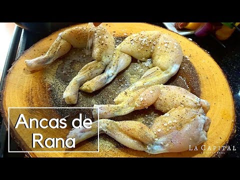 Ancas de Rana a la Parrilla | La Capital - UCEwl20VxZ3AwOgiKMZtI1GQ