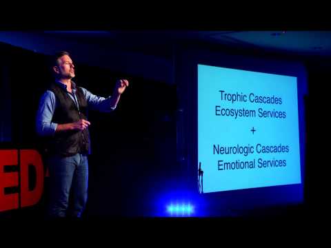 Neuroconservation -- your brain on nature: Wallace J. Nichols at TEDxSantaCruz - UCsT0YIqwnpJCM-mx7-gSA4Q