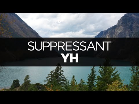 [LYRICS] yh - suppressant (ft. Laura Brehm) - UCeDJfznswcEYJPGcvPWXlig