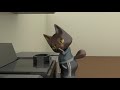 3D Action Reaction
