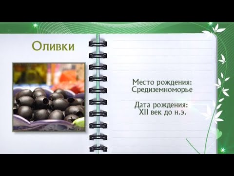 Кулинарная энциклопедия - Оливки - Часть 1 - UC7XBjhXnmmXFsxmnys9PmDQ