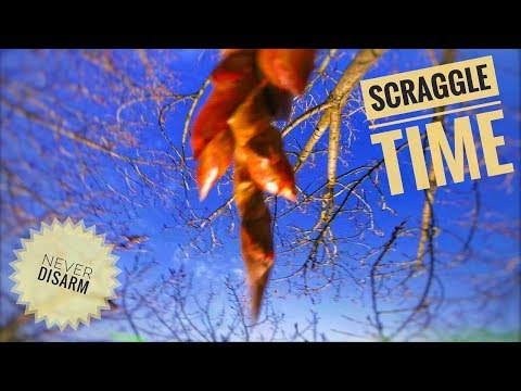 drone FPV Scraggle time - UCi9yDR4NcLM-X-A9mEqG8Hw