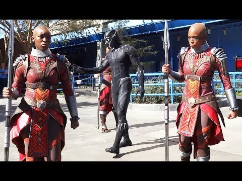 NEW "Black Panther" T'Challa & Dora Milaje warriors arrive at Disneyland Resort - UCYdNtGaJkrtn04tmsmRrWlw