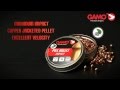 Gamo PBA Bullet Pellets. Egological Balin (lead) GAMO whith steel ball allowing a greater impact on hard objects.