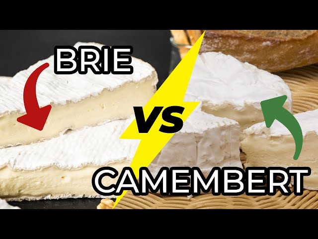 Camembert and Machine Learning: A Perfect Pairing
