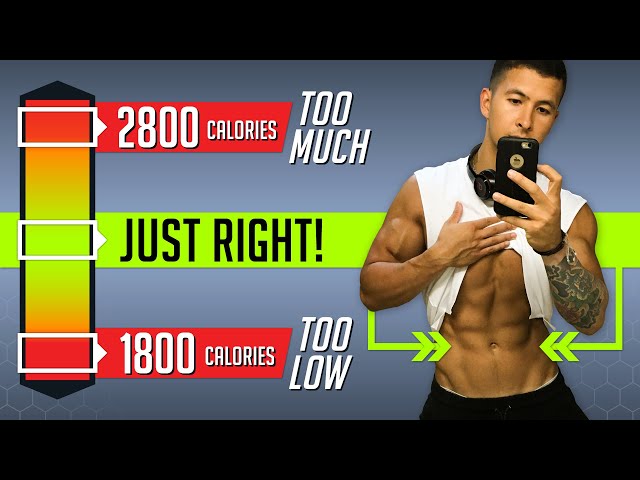 How Many Calories Should I Eat If I Want To Workout Workout Daily