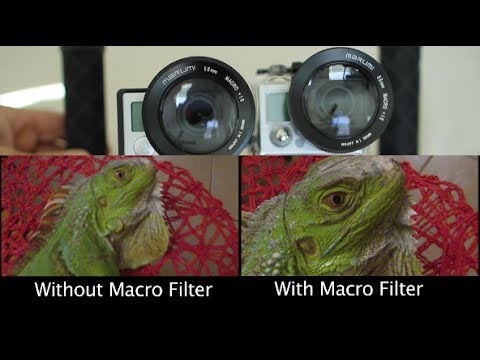 SRP Macro Filter To Get Amazing Close-Up! GoPro Tip #263 - UCTs-d2DgyuJVRICivxe2Ktg