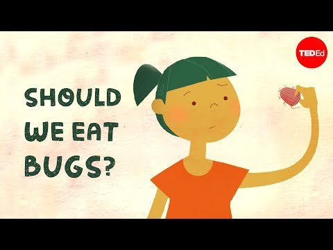 Should we eat bugs? - Emma Bryce - UCsooa4yRKGN_zEE8iknghZA