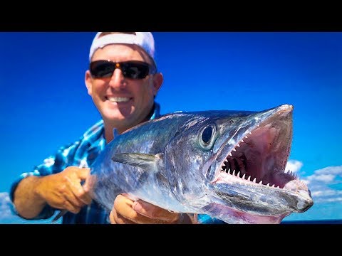 KINGFISH {Catch Clean Cook} Blackened Rudder Fish with Wild Fruit Salsa