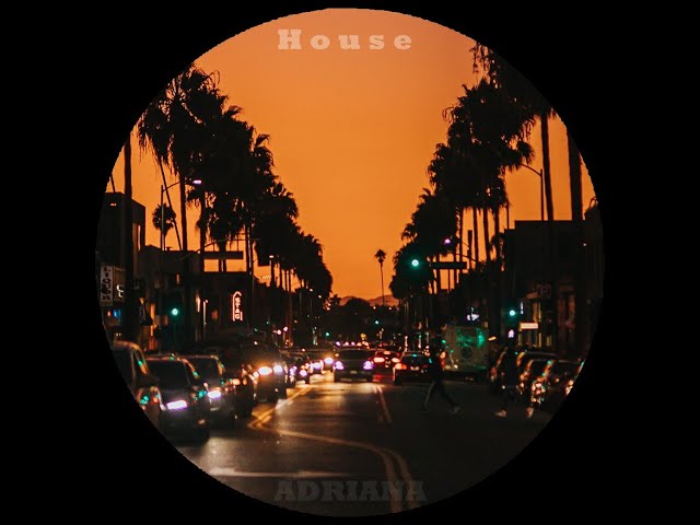 House Music Fox – Your One Stop Shop for House Music