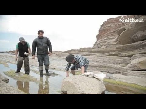 Aprendiendo a pescar y cocinar el pulpo en Zumaia - UCOHCRQDAr9HC5d59XvziJFQ