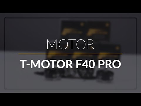 T-Motor F40 Pro // FPV Motor // GetFPV.com - UCEJ2RSz-buW41OrH4MhmXMQ