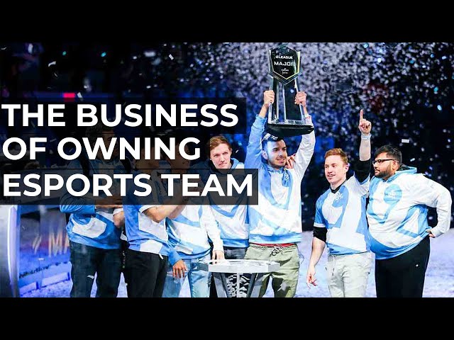 Will Professional Esports Be A Sustainable Business Plan?