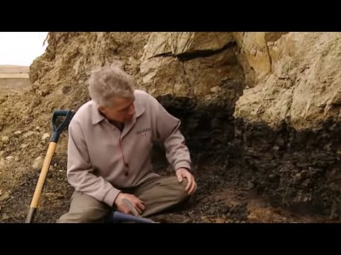 Asteroid attack 2 - Where's the evidence?  - What Really Killed the Dinosaurs? - BBC - UCwmZiChSryoWQCZMIQezgTg