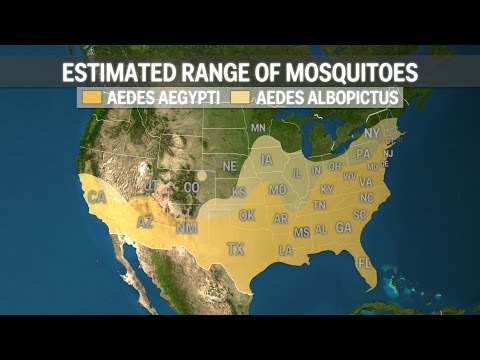 Animated map of Zika's spread - UCcyq283he07B7_KUX07mmtA