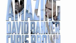 David Banner Feat. Chris Brown - Amazing 2012