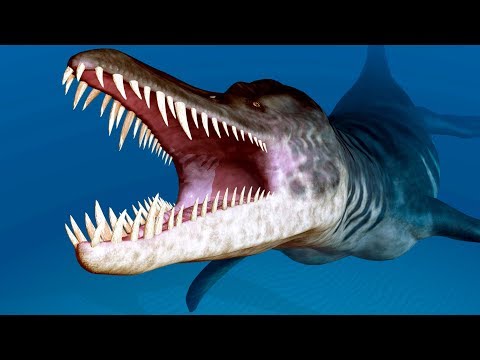 10 Extinct Creatures That Could Have Ruined The World - UC4rlAVgAK0SGk-yTfe48Qpw