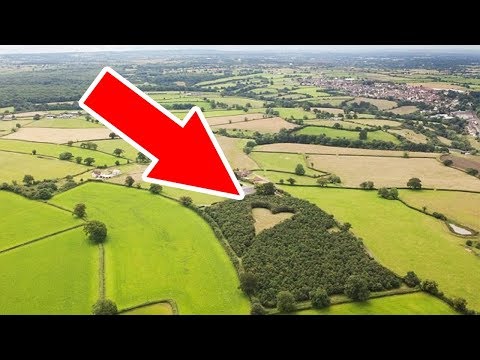 Farmer Plants Thousands of Oak Trees to Honor Late Wife. 17 Years Later, Aerial Photo Finds Secret - UCOaD4JxNYk29LHbHTOx3SQA