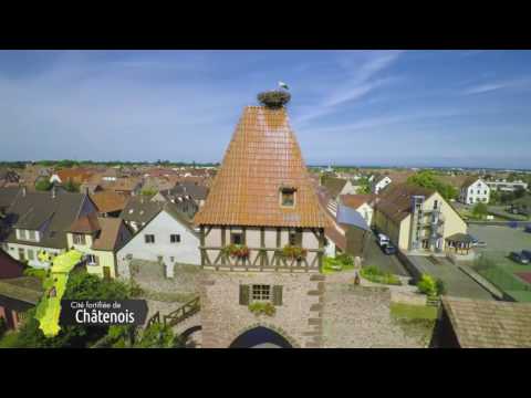 Historic Castles and Wine Routes in Alsace - UCXnIQrzOwgddYqQ3pyf0AnQ