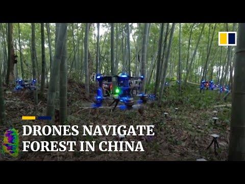 Autonomous drones fly through Chinese bamboo forest - UC4SUWizzKc1tptprBkWjX2Q