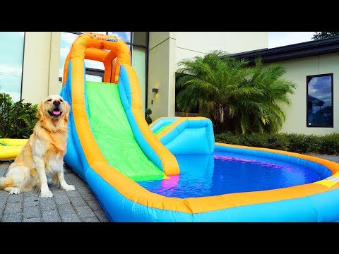 DOG GETS PERSONAL WATER PARK FOR THIRD BIRTHDAY - UC36MGPfPwOWafAXauiV4LdA