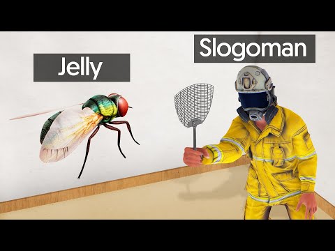 SLAP The ANNOYING FLY To WIN! (Annoying Game) - UC0DZmkupLYwc0yDsfocLh0A