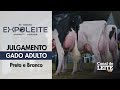 Expoleite Arapoti-PR - Julgamento do Gado Adulto da Raça Holandesa PB