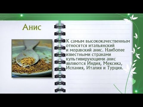 Кулинарная энциклопедия - Анис - UC7XBjhXnmmXFsxmnys9PmDQ