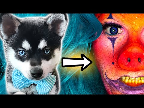 PUPPY Picks My FX Makeup - UCoziFm3M4sHDq1kkx0UwtRw