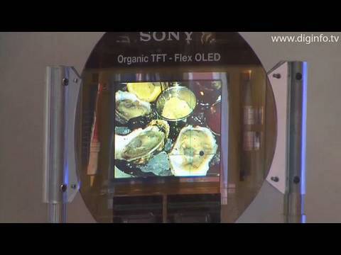 Sony's flexible organic EL display concepts : DigInfo - UCOHoBDJhP2cpYAI8YKroFbA