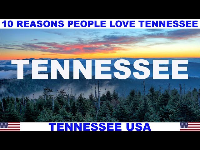 The Top 5 Reasons to Love Tennessee Baseball