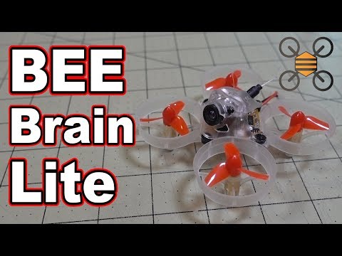 Active Braking Brushed Motors Whoop // BeeBrain Lite Review  - UCnJyFn_66GMfAbz1AW9MqbQ