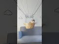 Un chat dans une montgolfière