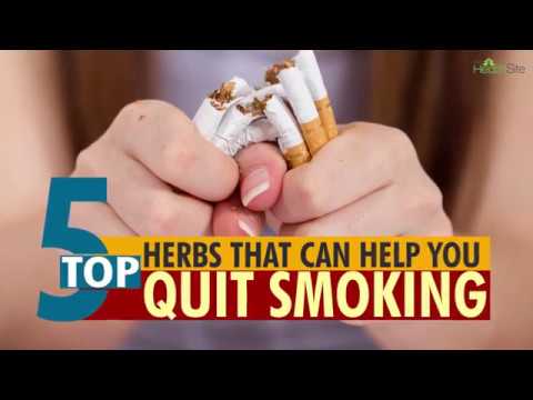 Top 5 herbs that can help you quit smoking