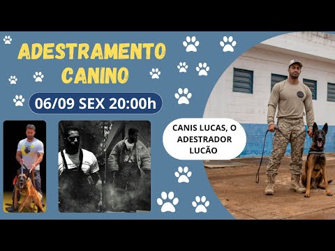 Adestramento canino - Canis Lucas, o adestrador Lucão