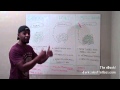 Fat Loss for Smart People