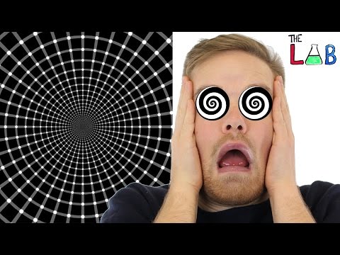 Your Brain On Illusions (The LAB) - UCC552Sd-3nyi_tk2BudLUzA