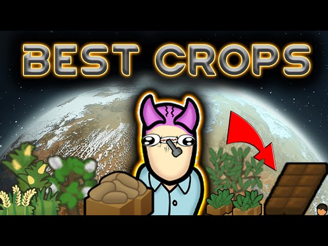 Best Crops to Grow in Rimworld