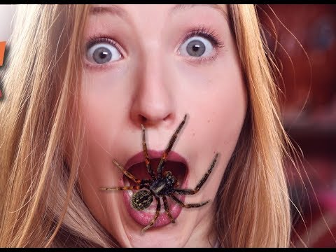 Animals scaring people !!! You do not believe how they react to it ...