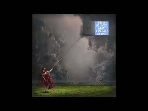 RAYE - Fields. (feat. Grandad Michael) (High Quality Acapella)