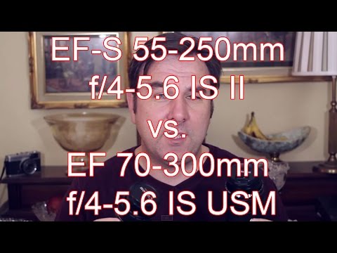 Canon EF-S 55-250mm F/4-5.6 IS II vs EF 70-300mm F/4-5.6 IS USM Telephoto Zoom Lens Review - UChdt-hi8jjpEd7_9ALs9Wcw