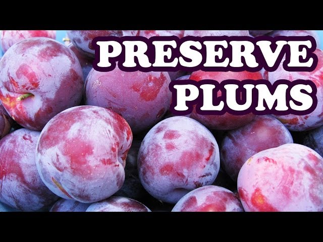 How to Preserve Plums for Long-Term Storage