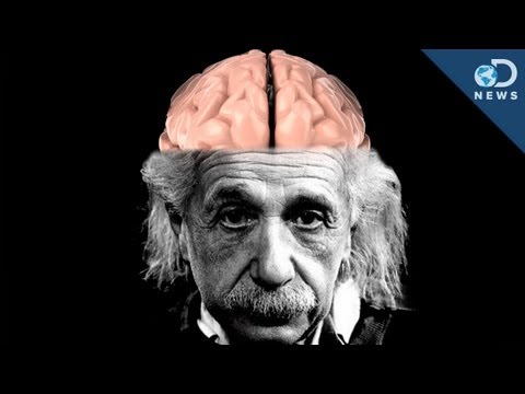 How Einstein's Brain Is Different Than Yours - UCzWQYUVCpZqtN93H8RR44Qw