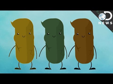 What Your Poop Says About Your Health - UCzWQYUVCpZqtN93H8RR44Qw