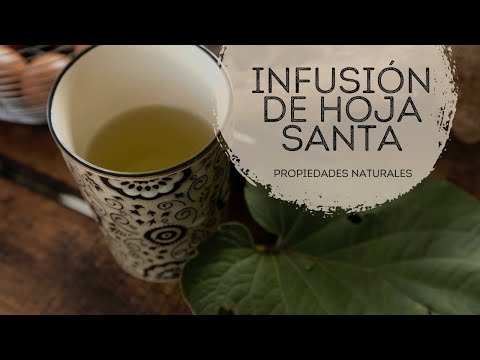 Infusión de Hoja Santa  Propiedades - UCvg_5WAbGznrT5qMZjaXFGA