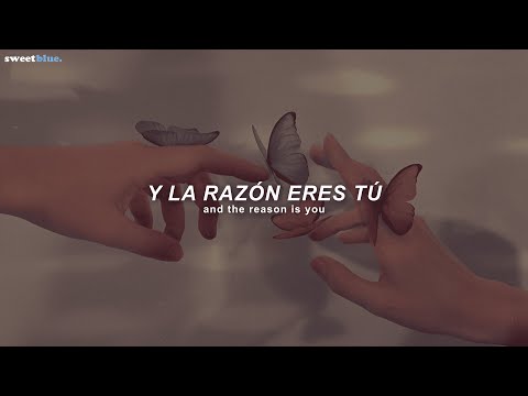 Hoobastank - The Reason (Sub. Español + Lyrics)