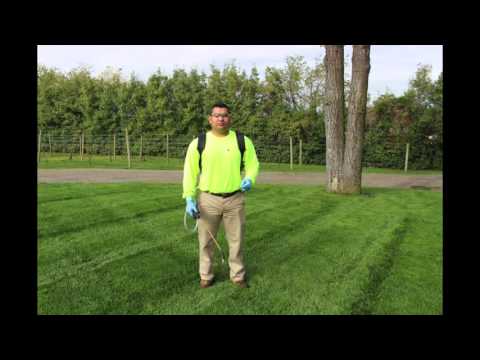 Lime and Fertilizer Training - UCihiamHl6tqSSd6WMWN8xVQ