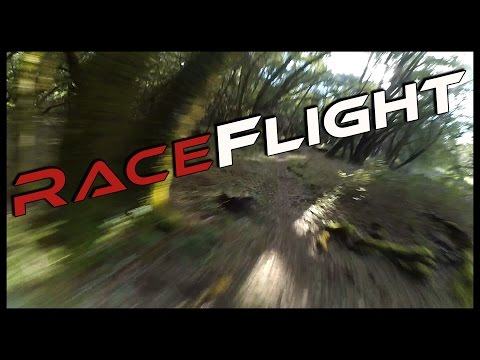 RaceFlight One Ripping - UCD6PrPYRMK2tnEVMpUromcQ
