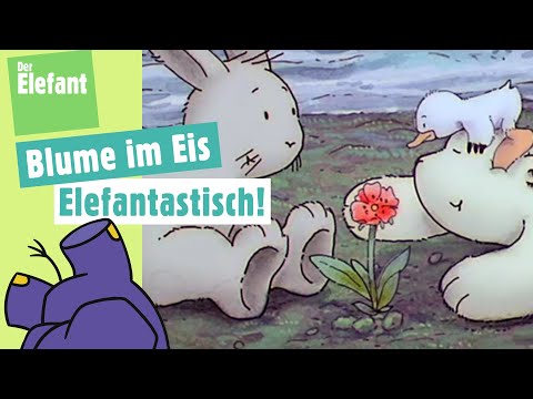 Der kleine Eisbär findet eine Blume  & Ratefilm Fahrzeuge | Der Elefant | WDR