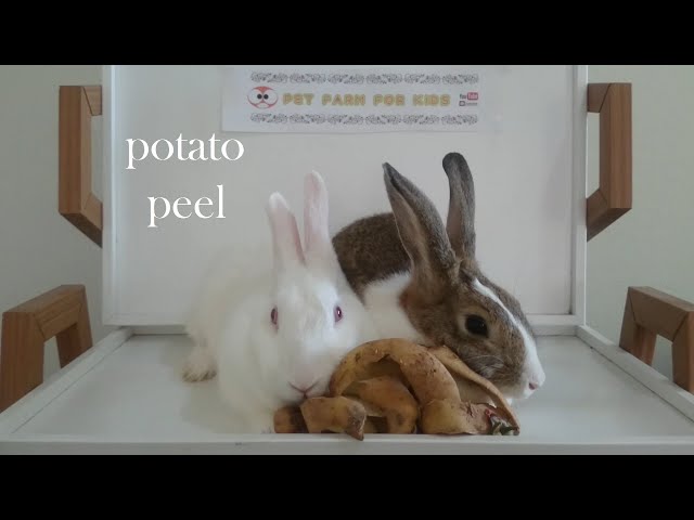 can-rabbits-eat-potato-peels-hayfarmguy